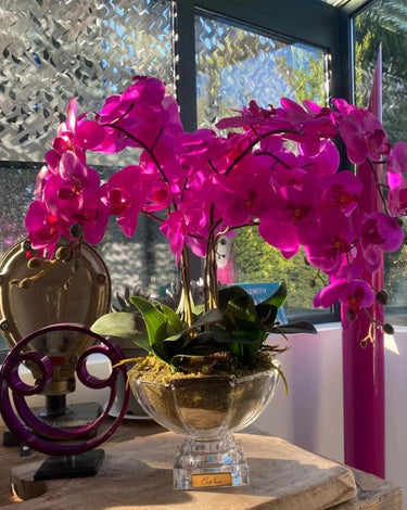 Centrepiecel Orchides - Fuchsia - CPO09